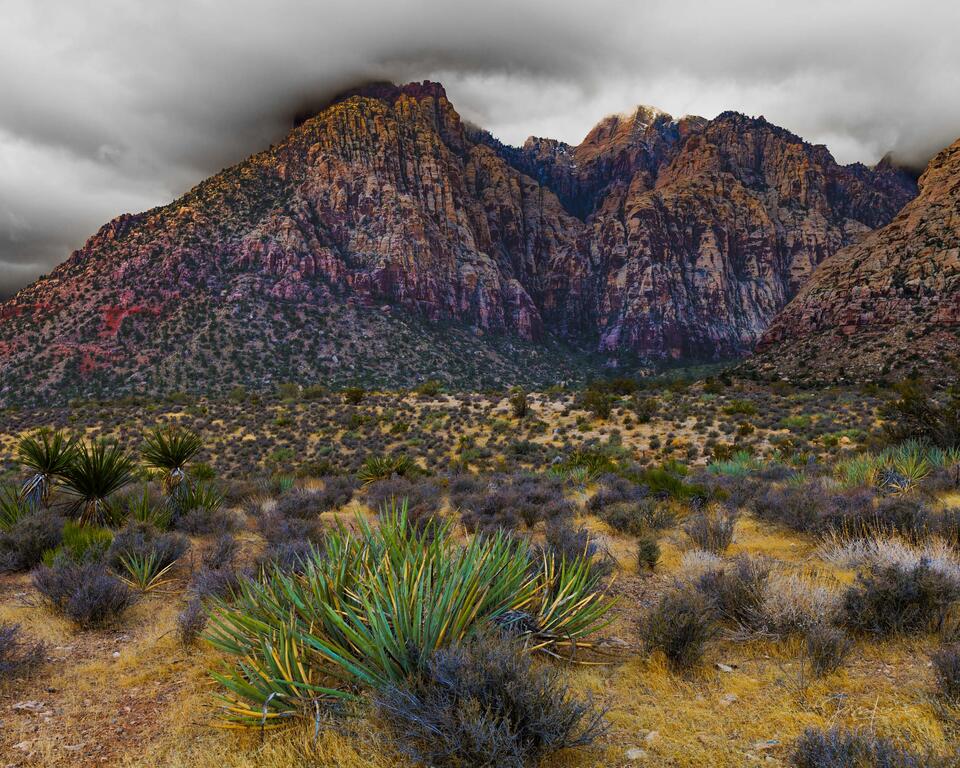 Nevada Red Rock Photography Print print