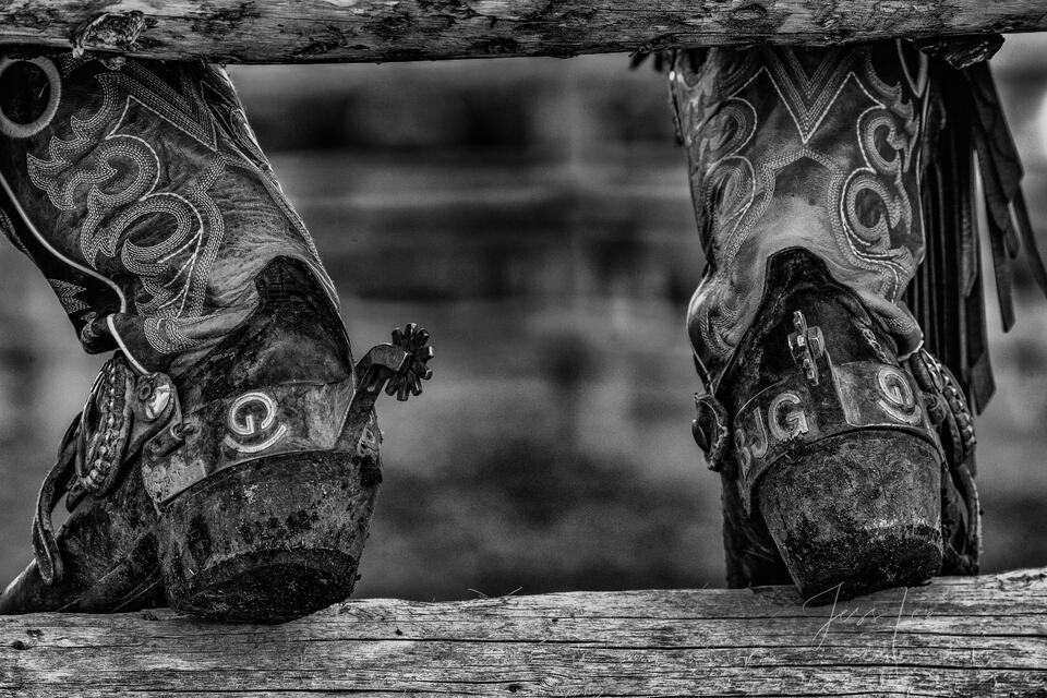 Resting Boots print