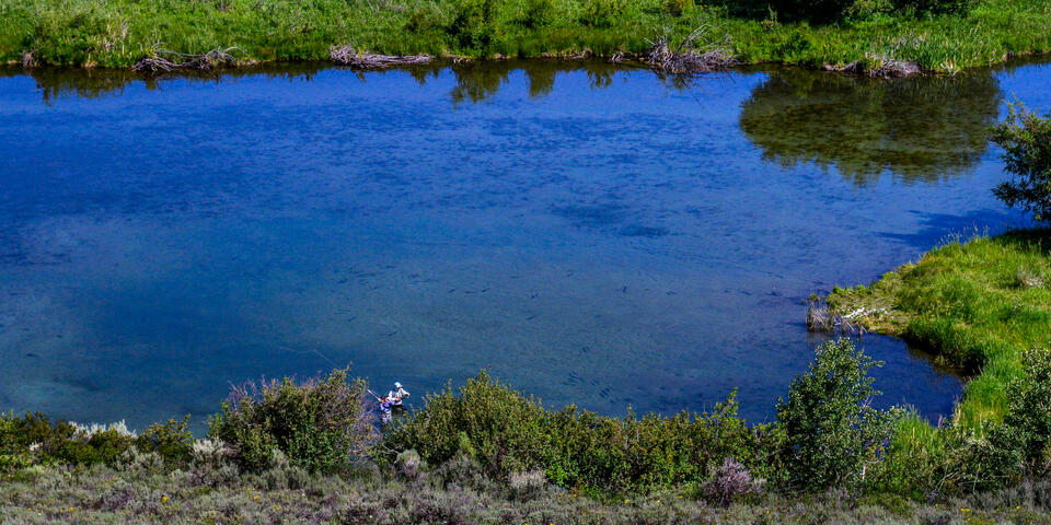 Silver Creek Honey Hole print