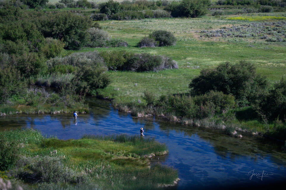 Spring Creek Silver print