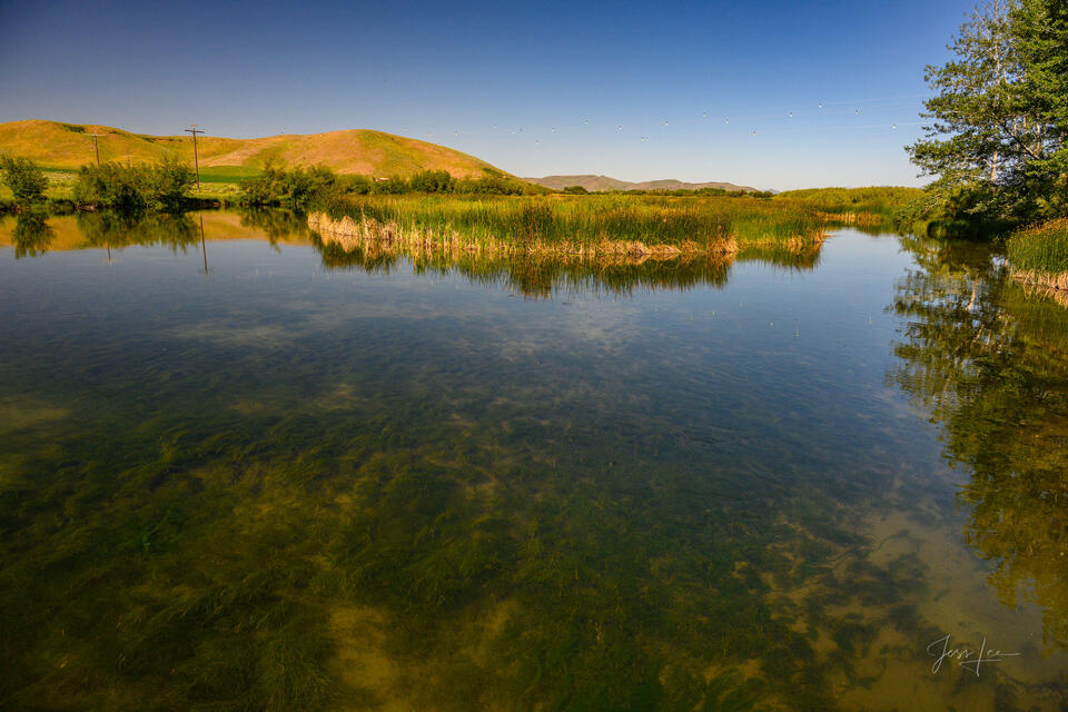 Still Water print