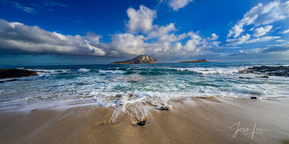 Surf Swept print