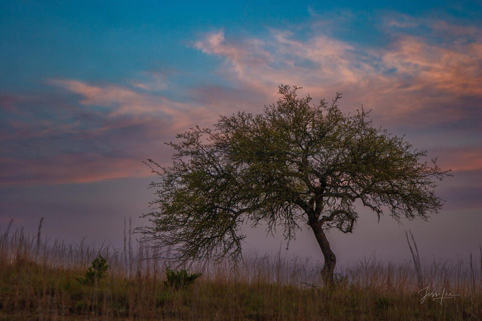 Evening Clouds print