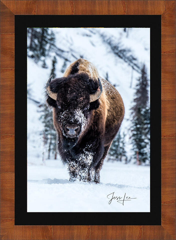 Tobacco-Black-Liner-Frame print