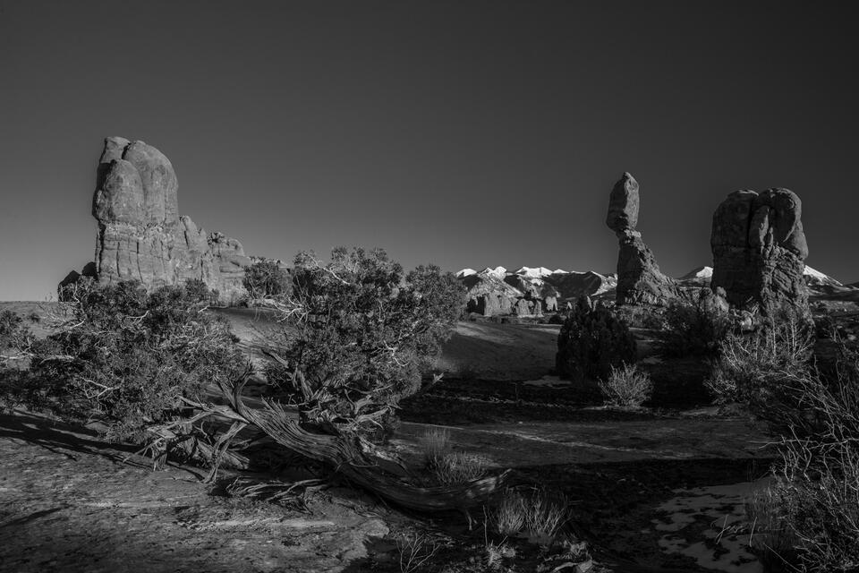 Beautiful Photo Picture from Arches National Park Black and White