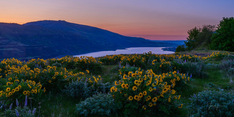 Rowena Crest Panorama print