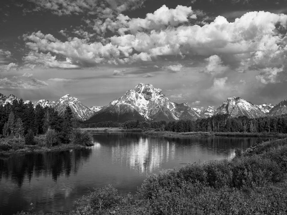 Oxbow Spring Black and White print