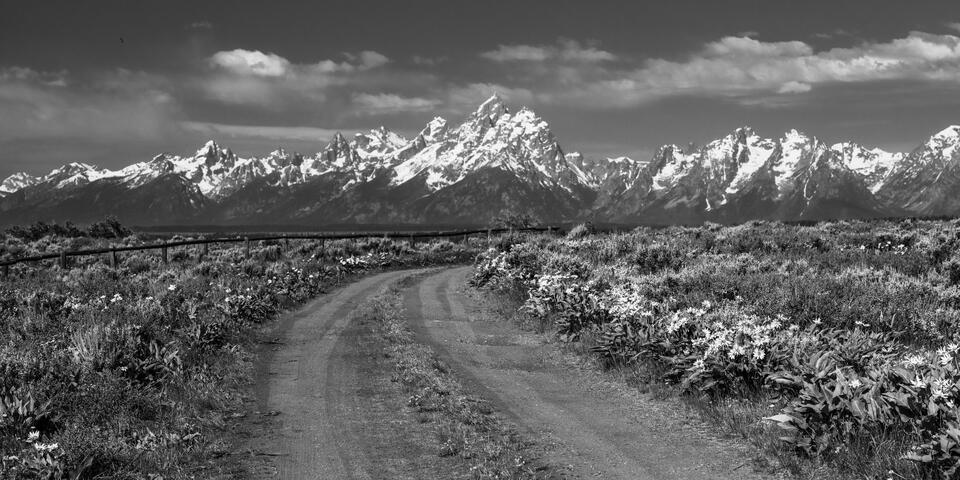 Teton Road Black & White  print