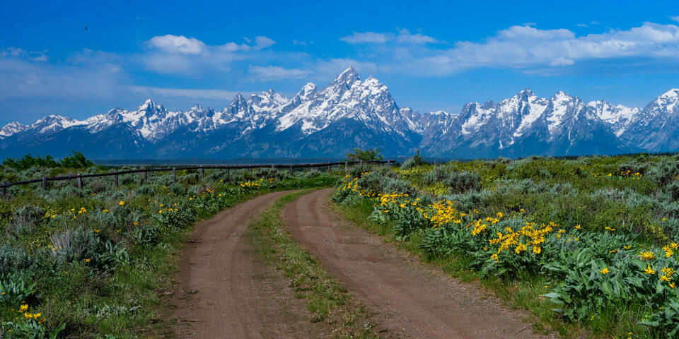 Teton Backroad print