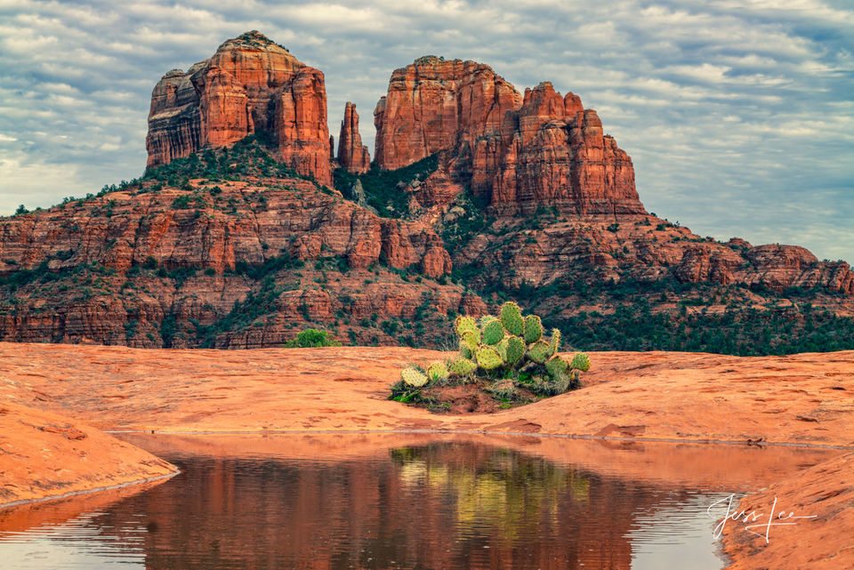 Sedona Photograph of Cathedral Rock reflectin in a pond