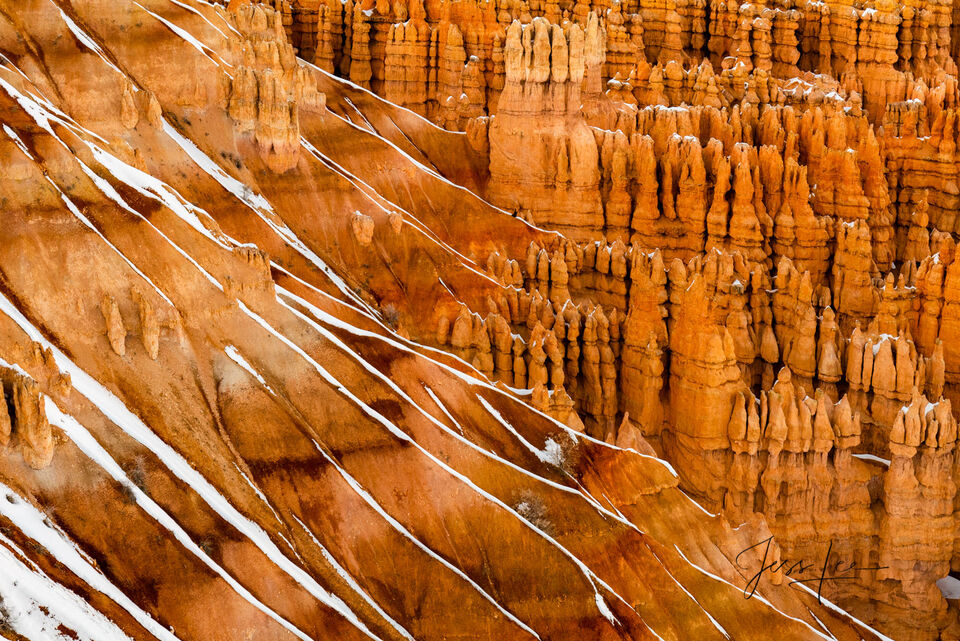 Red Zebra Bryce Canyon print