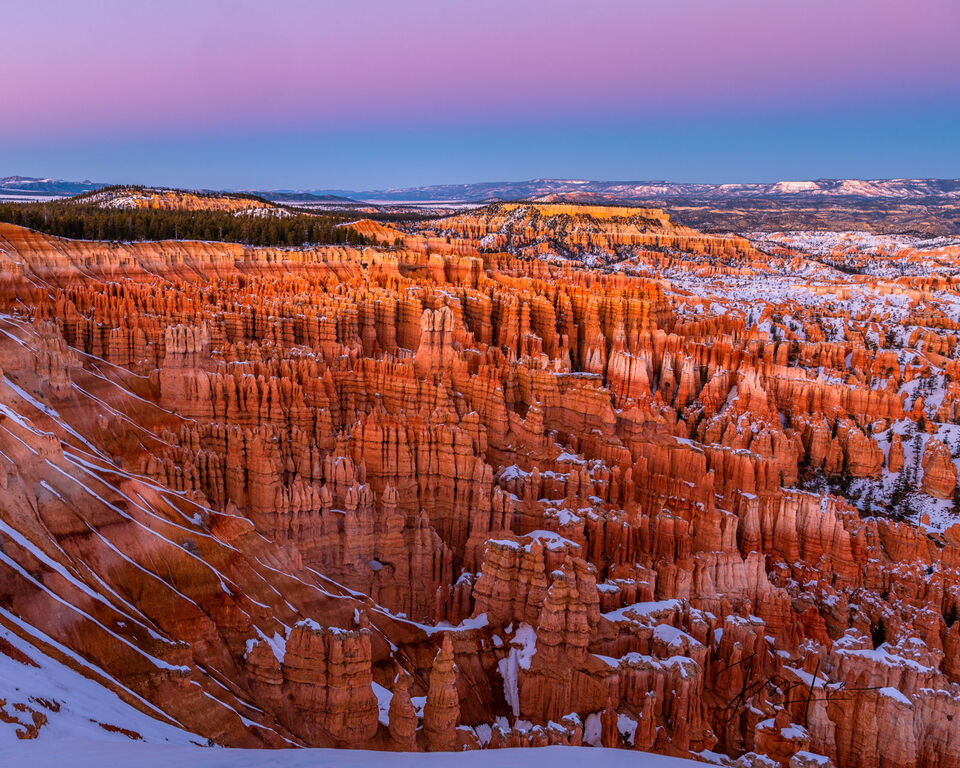 Winter Morning Glow over Bryce Canyon print