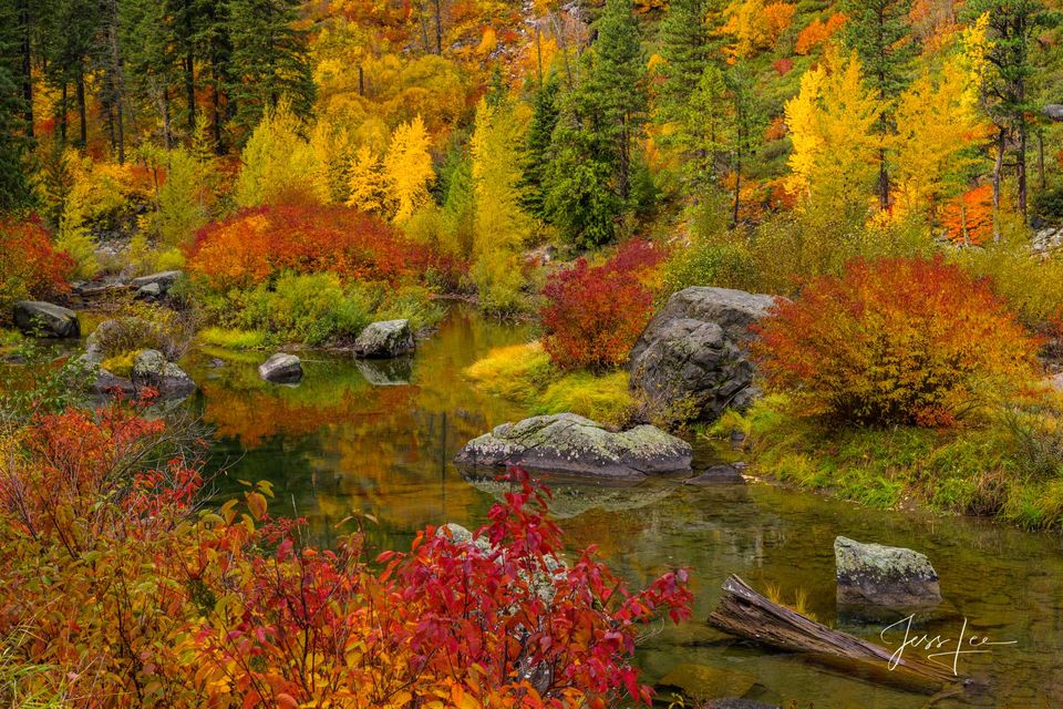 Color Pond print