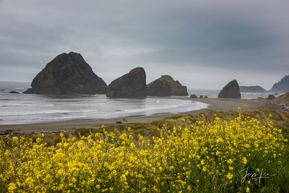 Flower beach