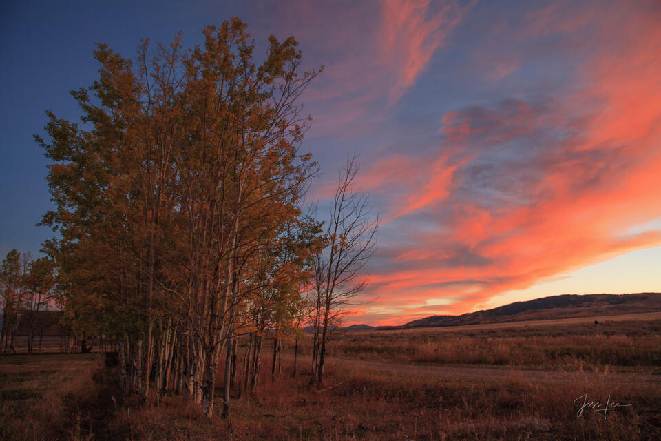 Basin Morning Glow print