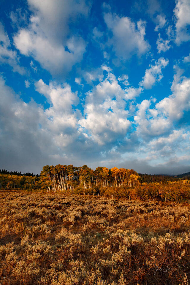 Basin Sky print