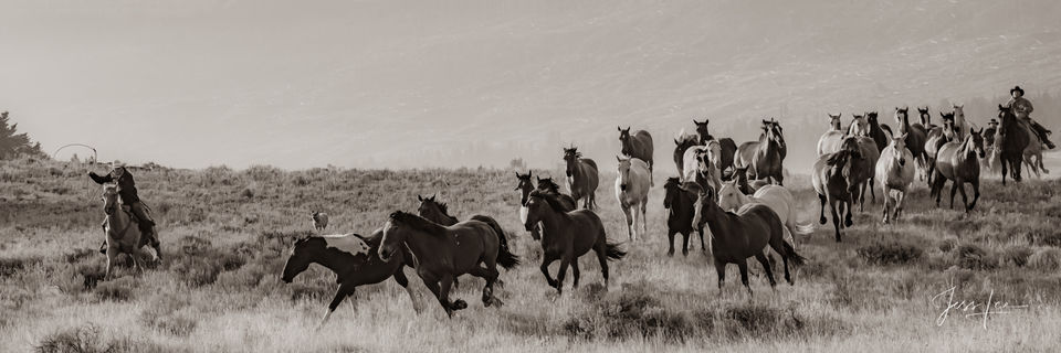 The Chase print
