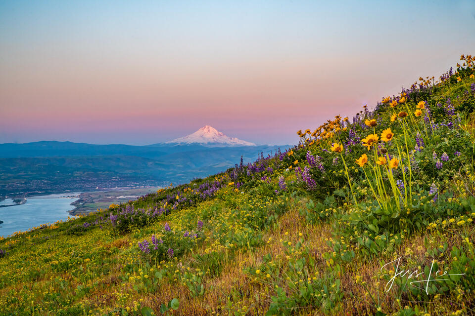 Columbia Hills print