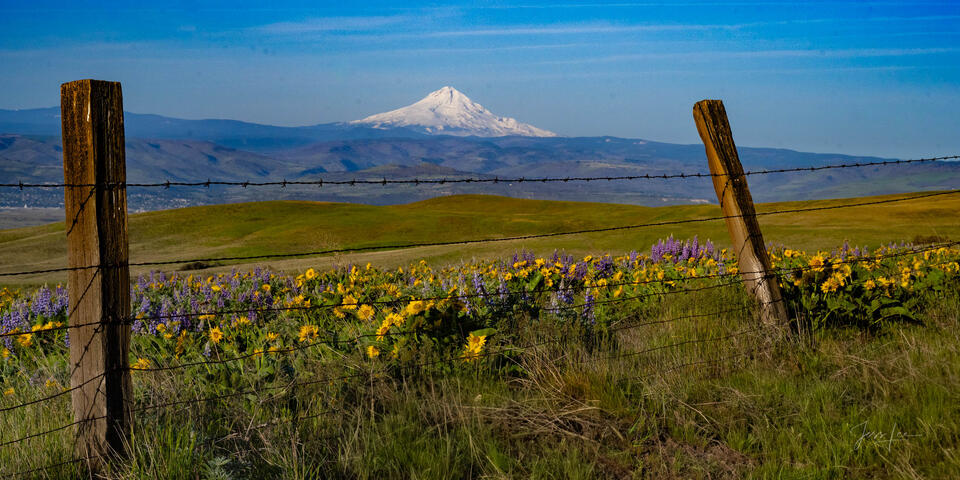 The Ranch at Columbia Hills print