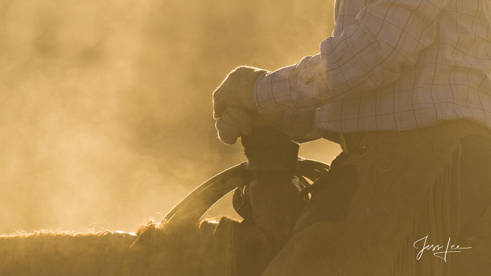 Morning break | Cowboys hands on steamy horse print