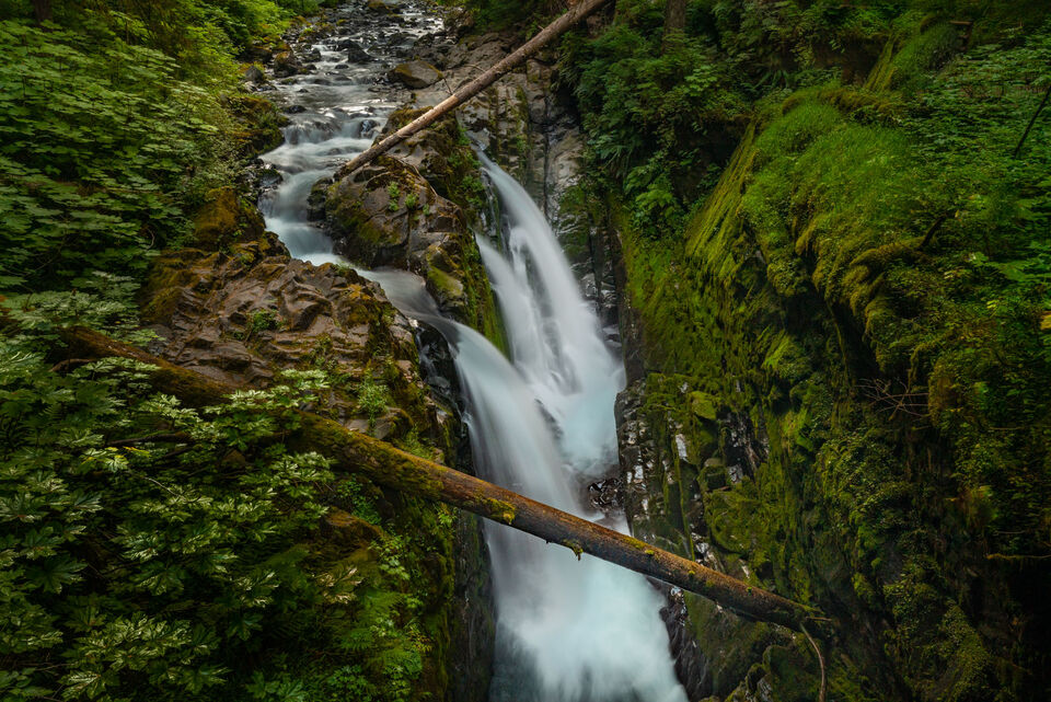 Sol Dac Falls, Olympic NP print