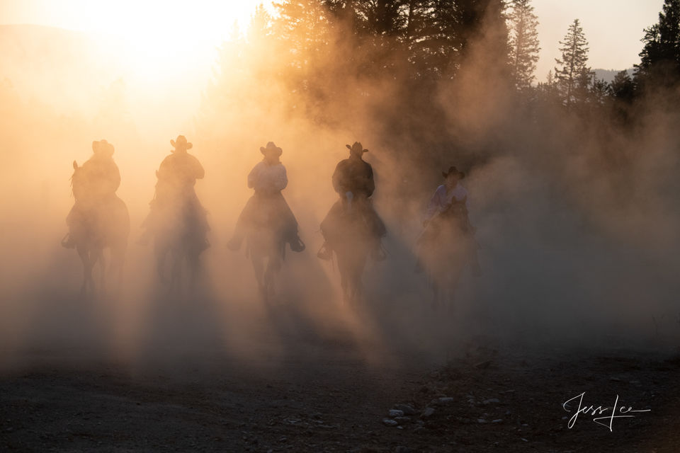 Cowboys Cowgirls dusting it up print