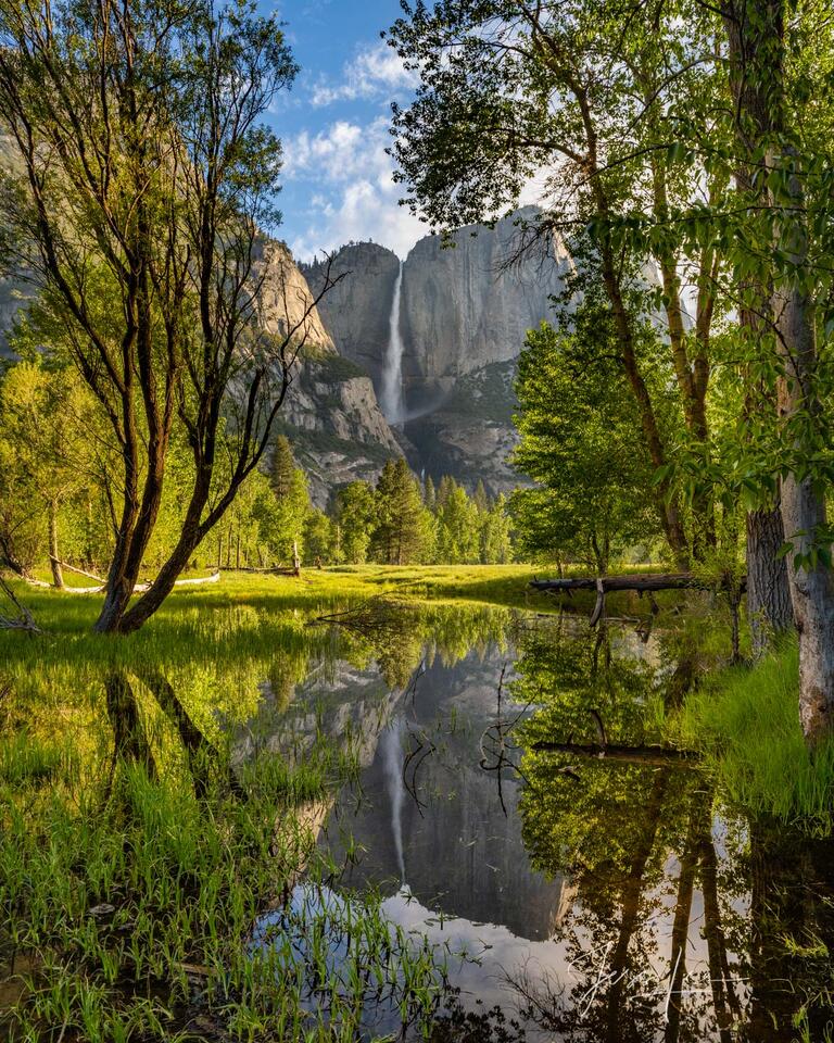 Yosemite Falls Reflection print