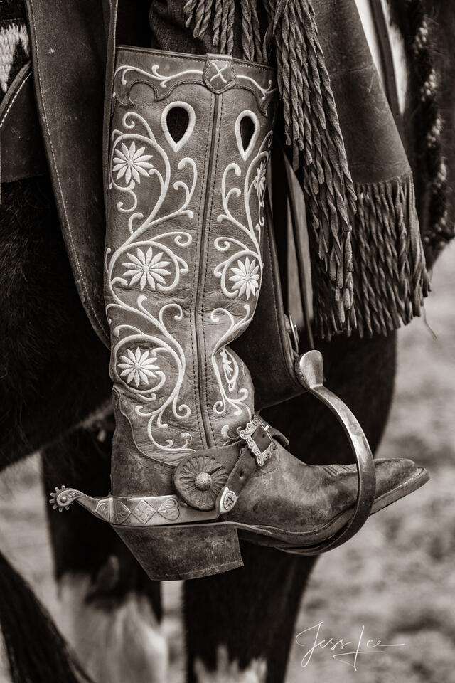 Gal Leg Boot and Spur print
