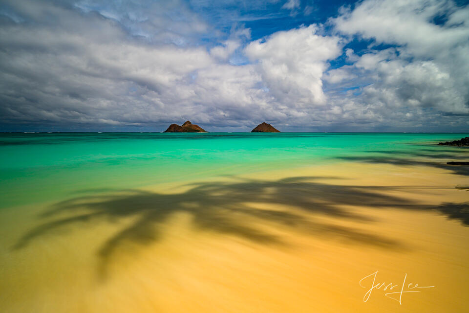 Lanikai Beach Palm Sunset Shadow print