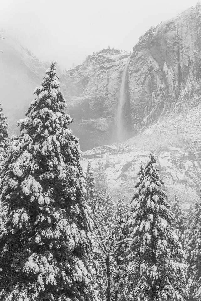 Misty Falls