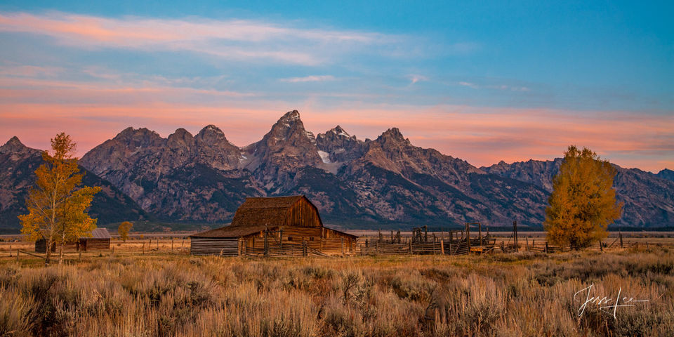 Morning at the Teton Barns print