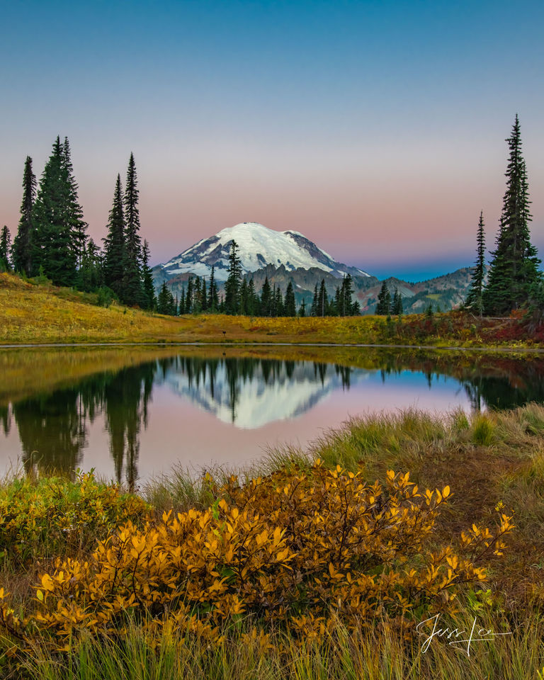 Mount Rainer Photograph Fine Art Print of fall color flowers and snow capped mountain reflecting in Tipso Lake.