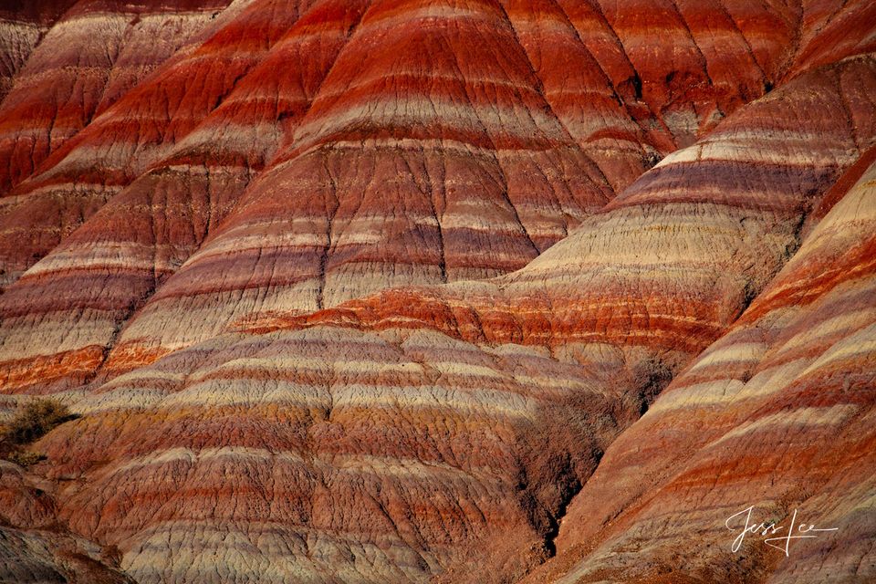 Navajo Sandstone print