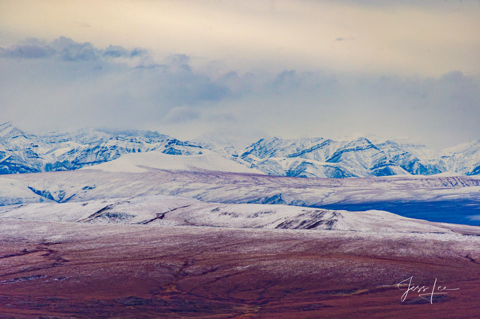 Arctic tundra changing seasons from summer to fall