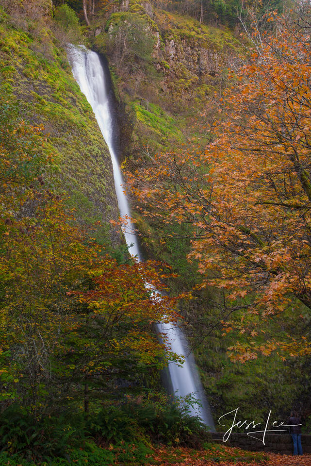 Orange Falls print