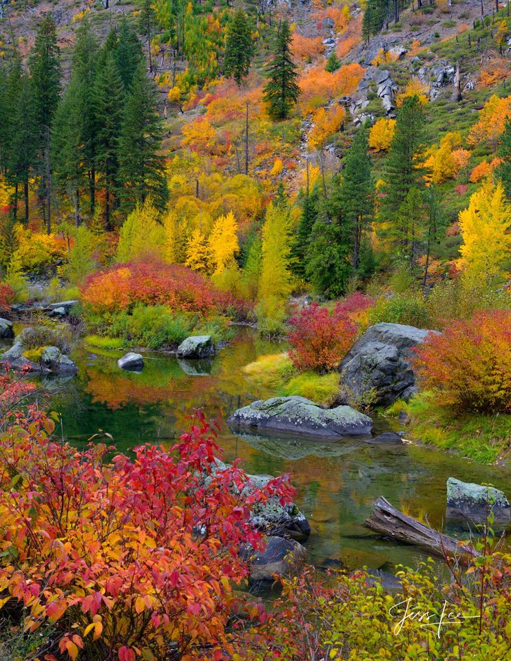 Autumn Rainbow Pond print