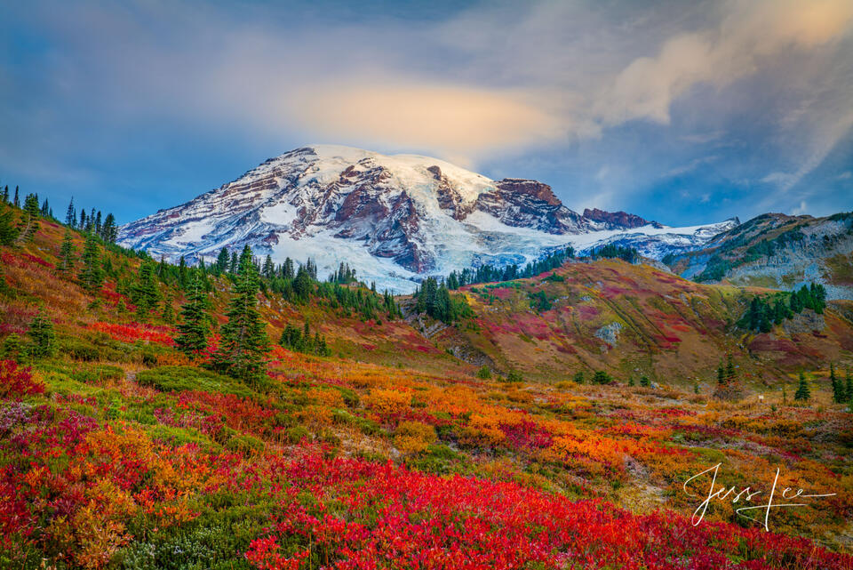 Morning on Mt Rainier before the storm with fall color in the grass and streaking clouds over the snow capped mountain. Fine art wall art photo print.
