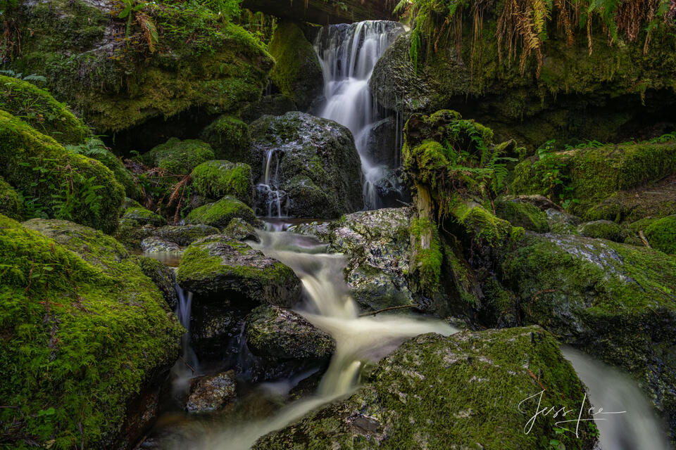 Trillium Falls basin | Click For Details print