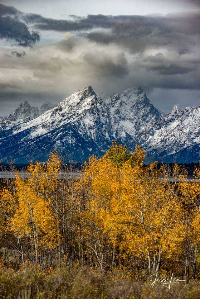 Teton Range and Aspens in Fall Color print