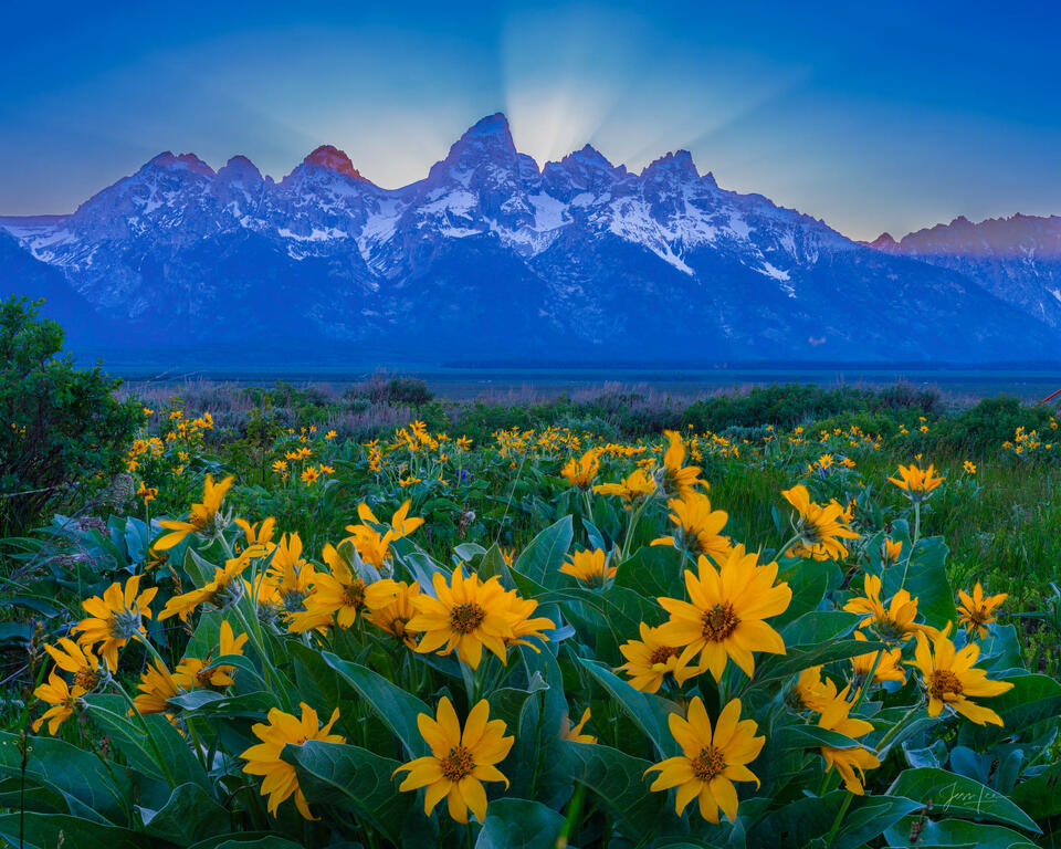 Teton Sweet Summer Evening print