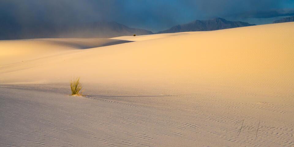 Alone in the Sand print