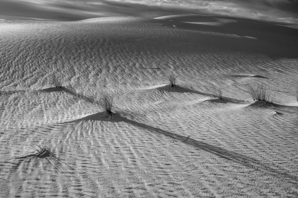 Black and White Sands print