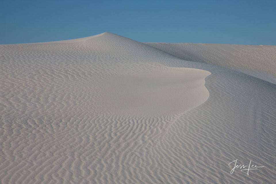 Flowing Dune print