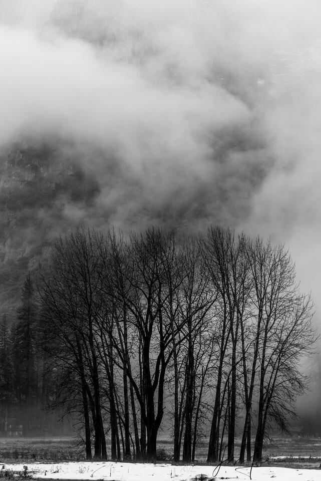 Reaching for the Clouds print