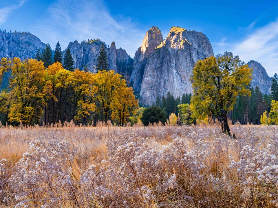 Yosemite Vallet Winter Garden print