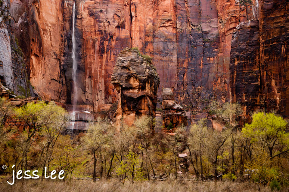 zion rain print
