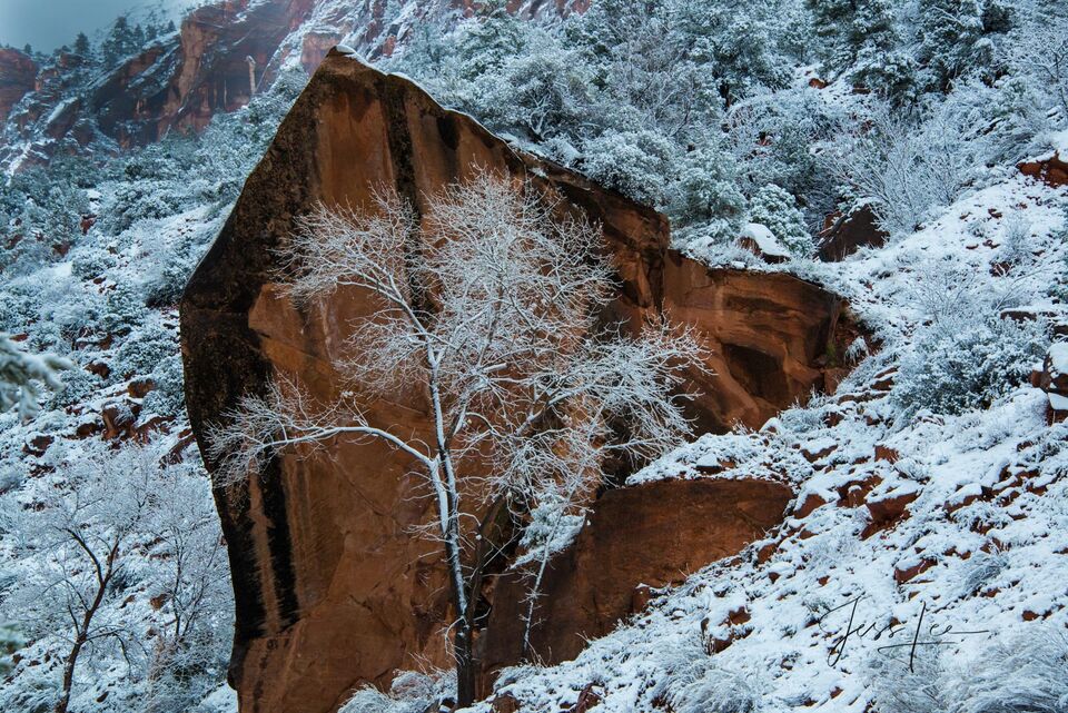 Zions Arrowhead Rock in Winter Photo print