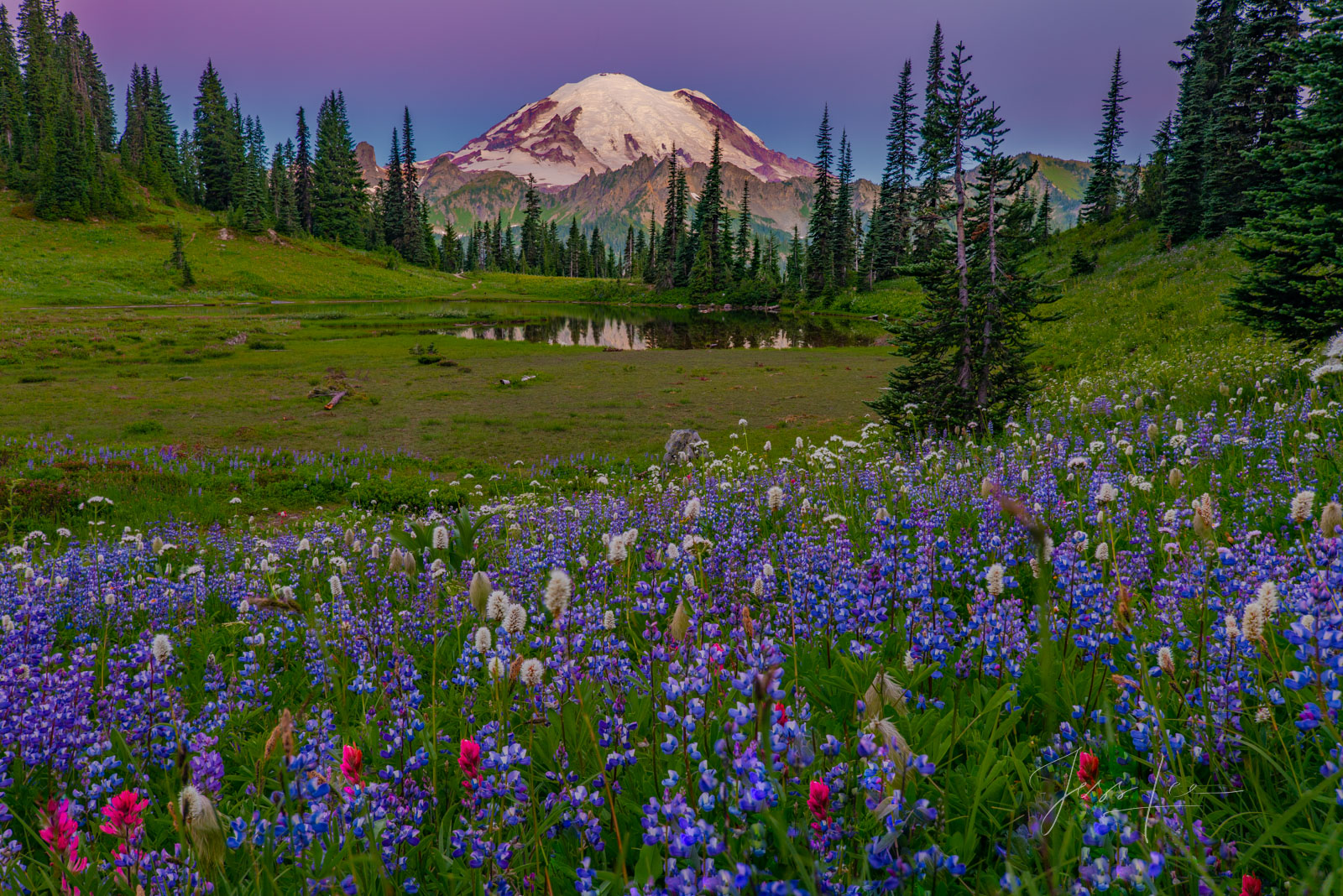 Washington Summer, Beautiful Photos, Washington Photography, Meadow Photos, Mount Rainier Photography