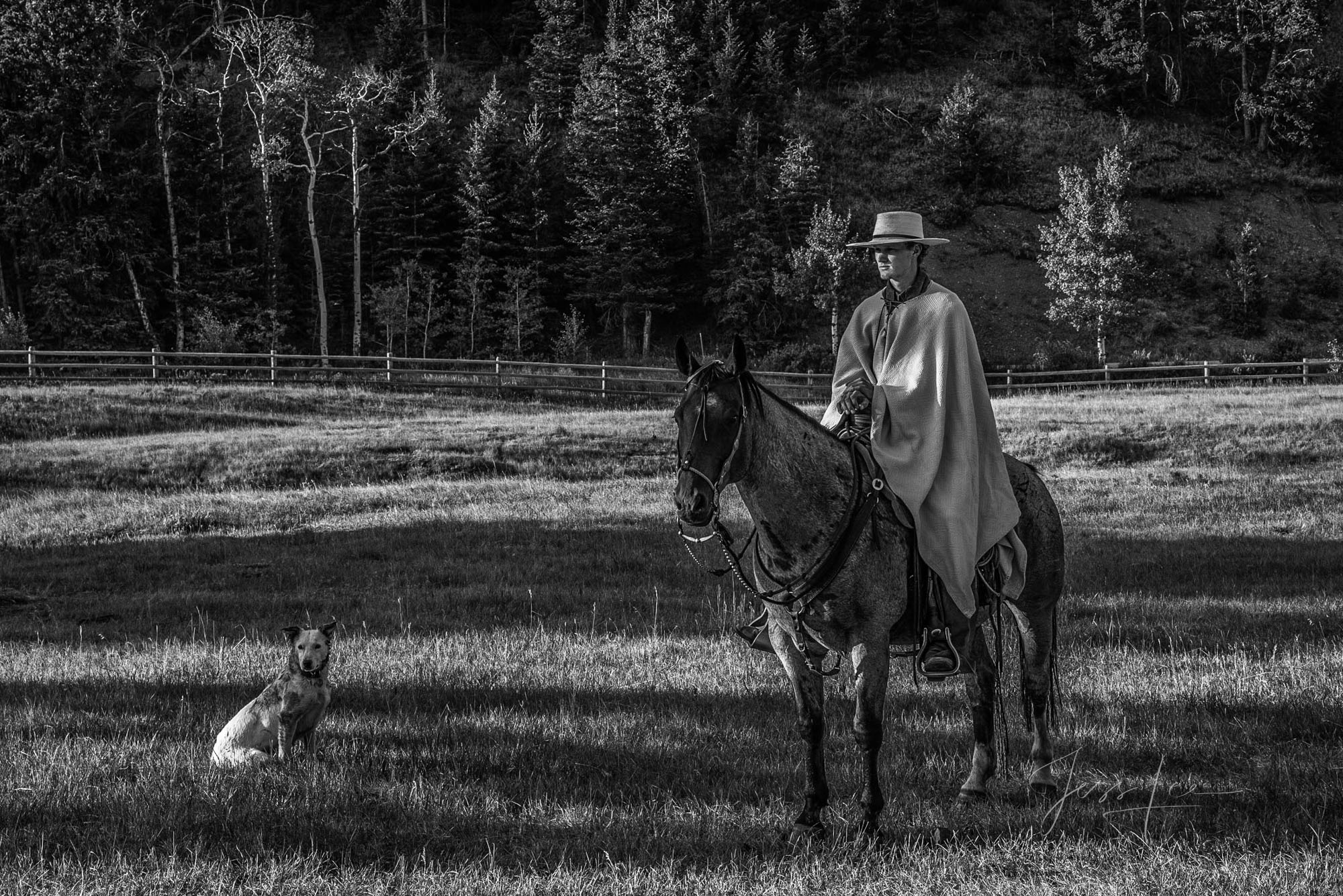 Fine Art Limited Edition Photo Prints of Cowboys, Horses, and life in the West. Waiting - Cowboy pictures in black and white....