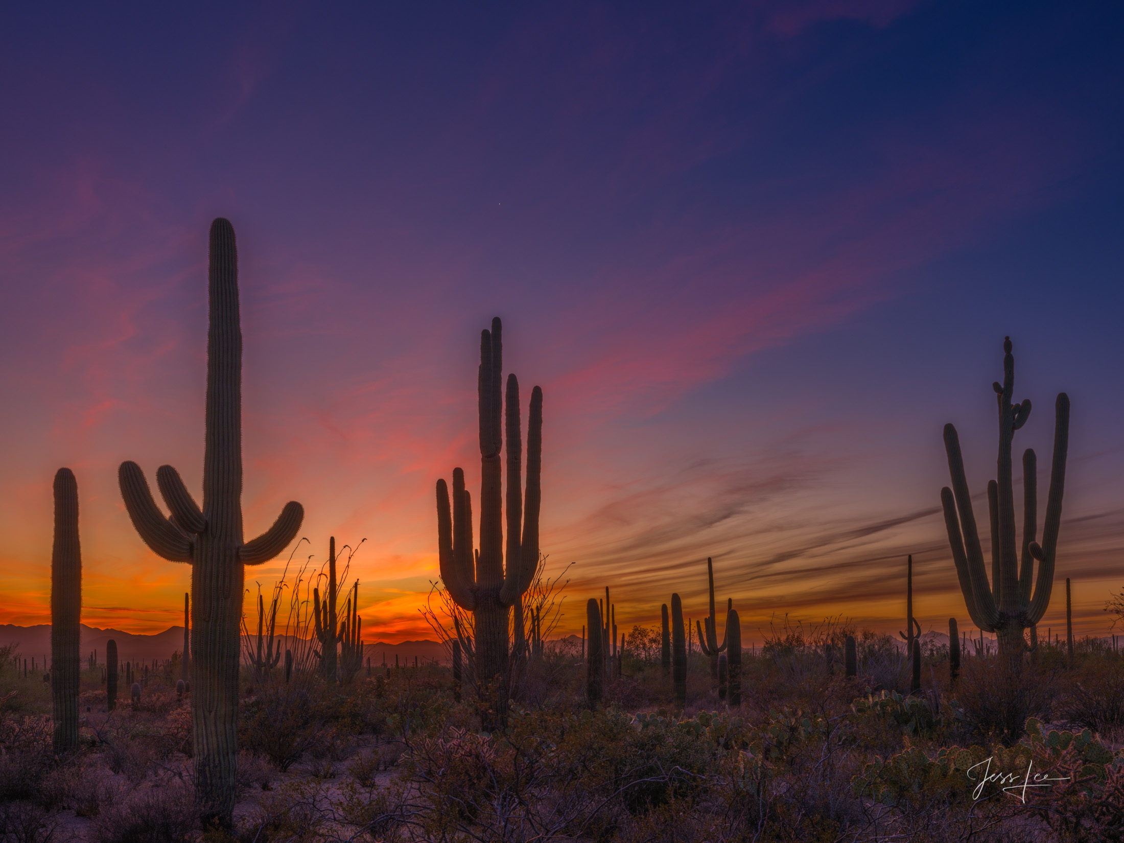 Tequila Time This is a large-format, Fine-Art Photography Print of the Arizona Desert is for sale in Trulife Acrylic, Chromalux Metal, and fine-art paper.